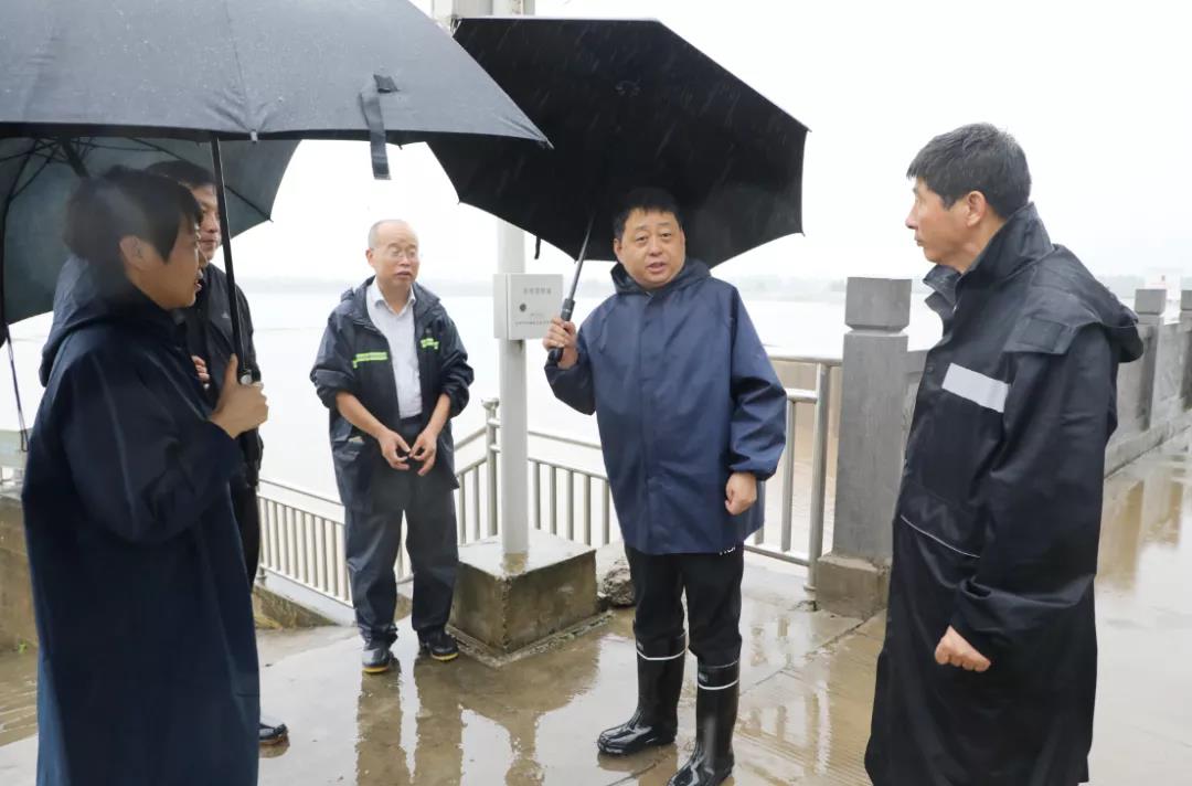 强降雨致孟州汛情加剧，卢和平等领导亲临防汛一线检查指导